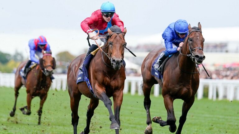Baaeed fourth behind Bay Bridge in Champion Stakes