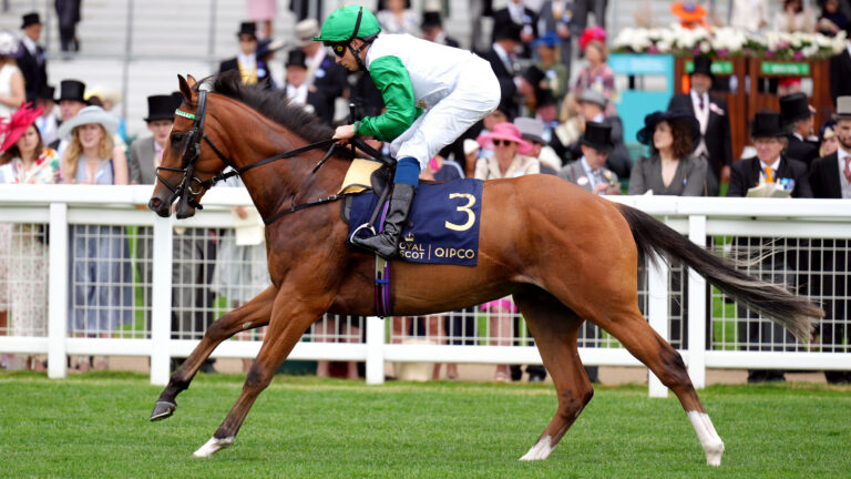 Back Asadna To Bloom In Rose Bowl