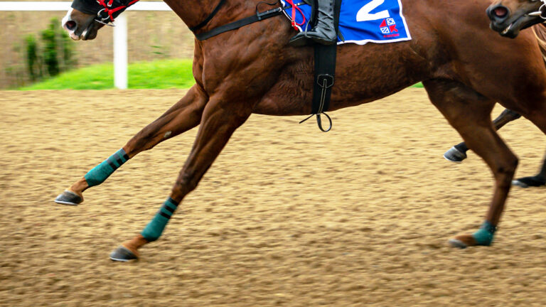 Back to Poly – Eyes on Fairy