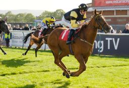 Bank on Ginger for Ayr rewards