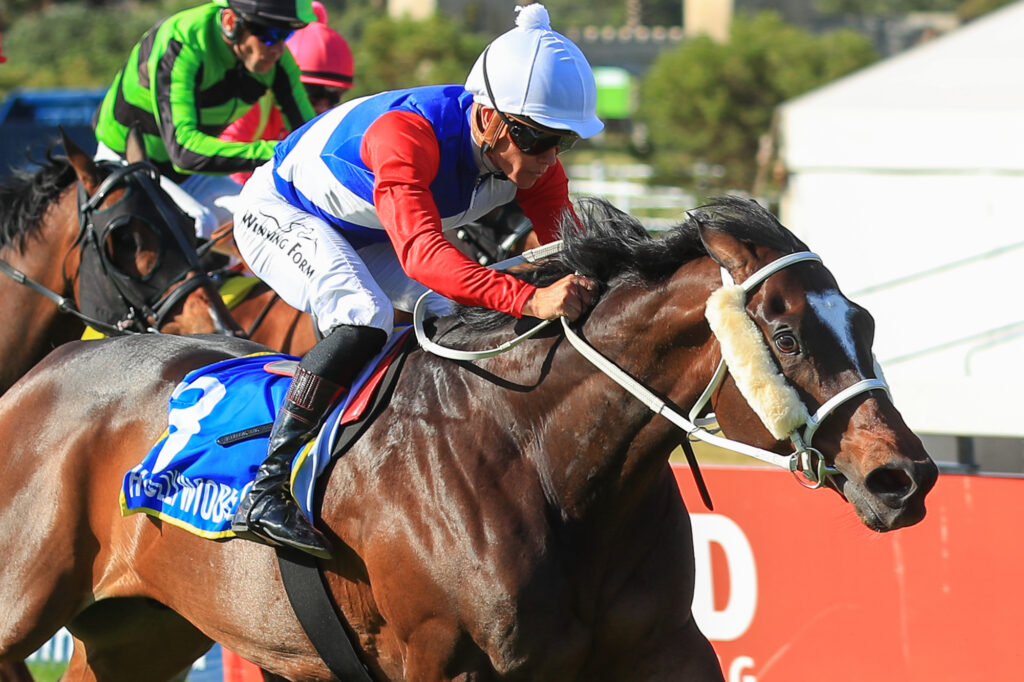 Bank on Mont Loisir in the Cape