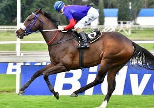 Bask in the sun at the Vaal