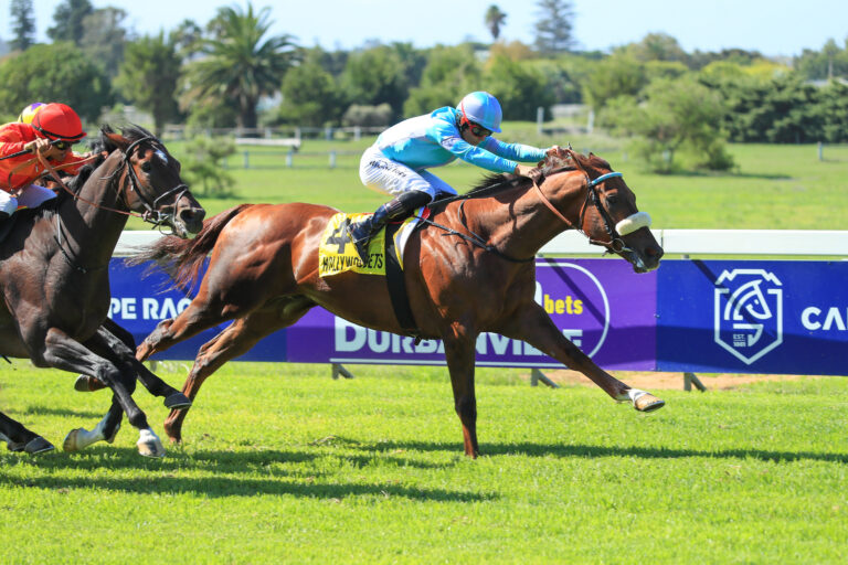 Be Impetuous in the Cape