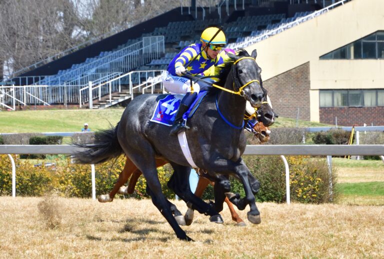 Be positive about FUSHIMI Inari