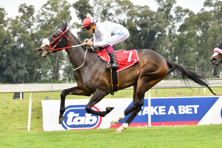 Bee to buzz for Azzie stable