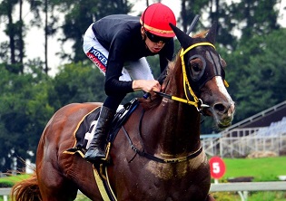 Belle to ignite Vaal punters