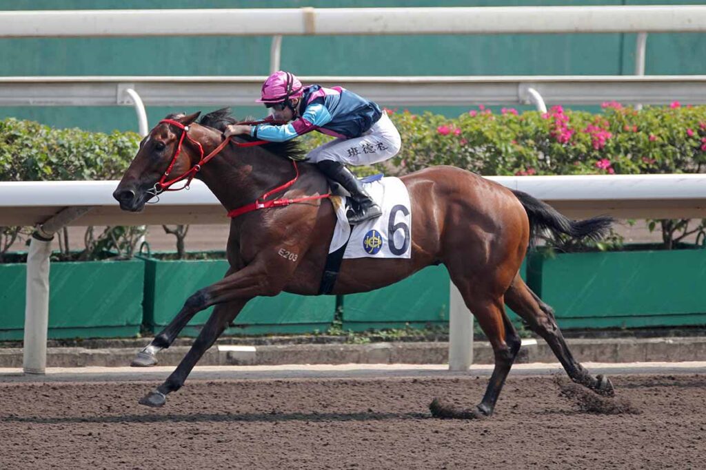 Bentley hopes Majestic Star can strike again