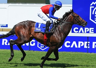 Bet on the best at Greyville