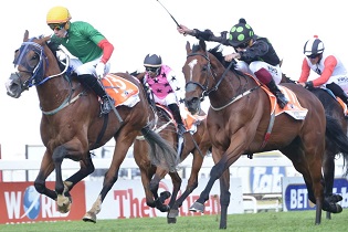 Betting Bonanza for local punters