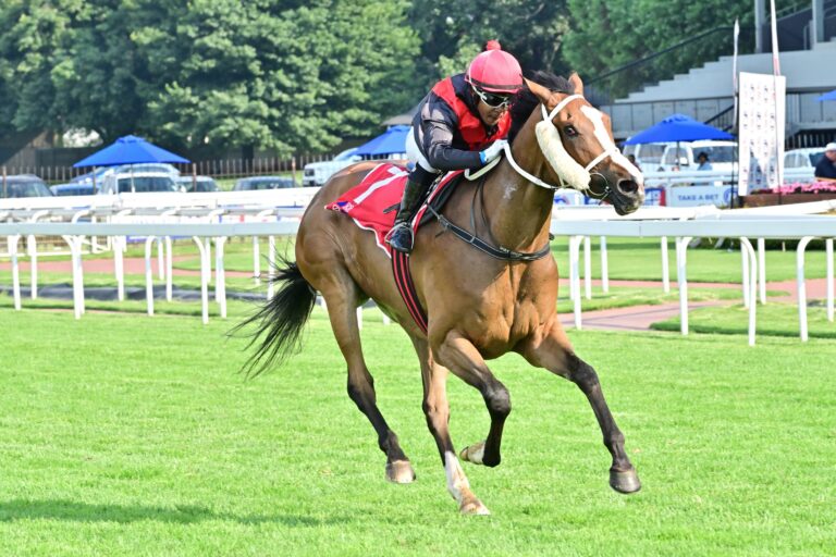 Bettors can rock the council at the Vaal