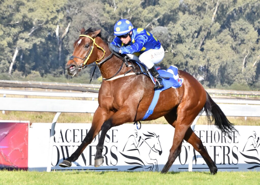 Bettors have a chance to reset