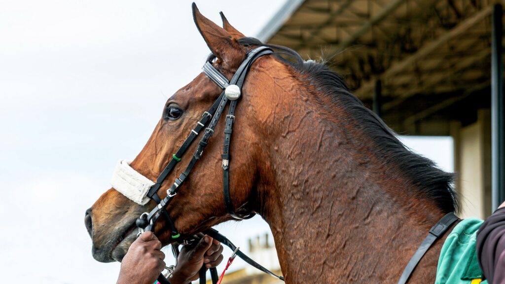 BIG TASK FOR JOY AND PEACE