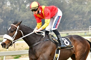 Bingwa back over favourite trip