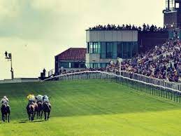 Blenheim Star should be shining again at Brighton