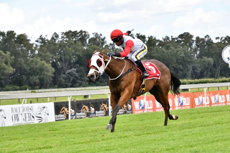 Blinkers do the trick for Rose For Trippi