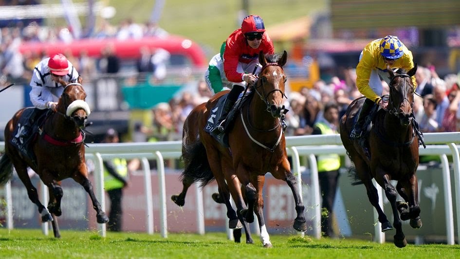 Bobsleigh Can Be Newbury Super Star