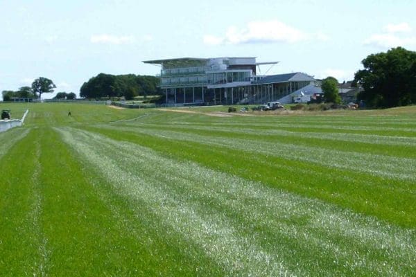 Brave to prove too game at Wetherby