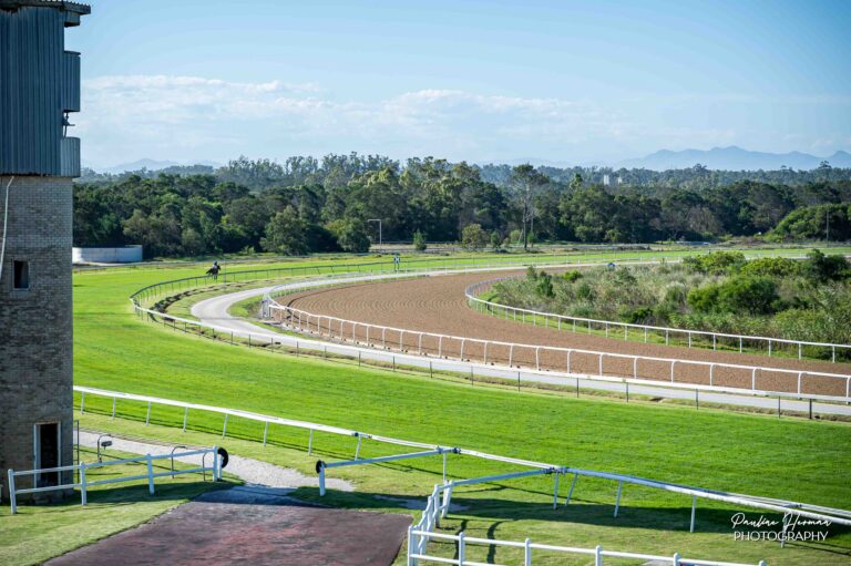 BREEDERS GUINEAS ON FRIDAY