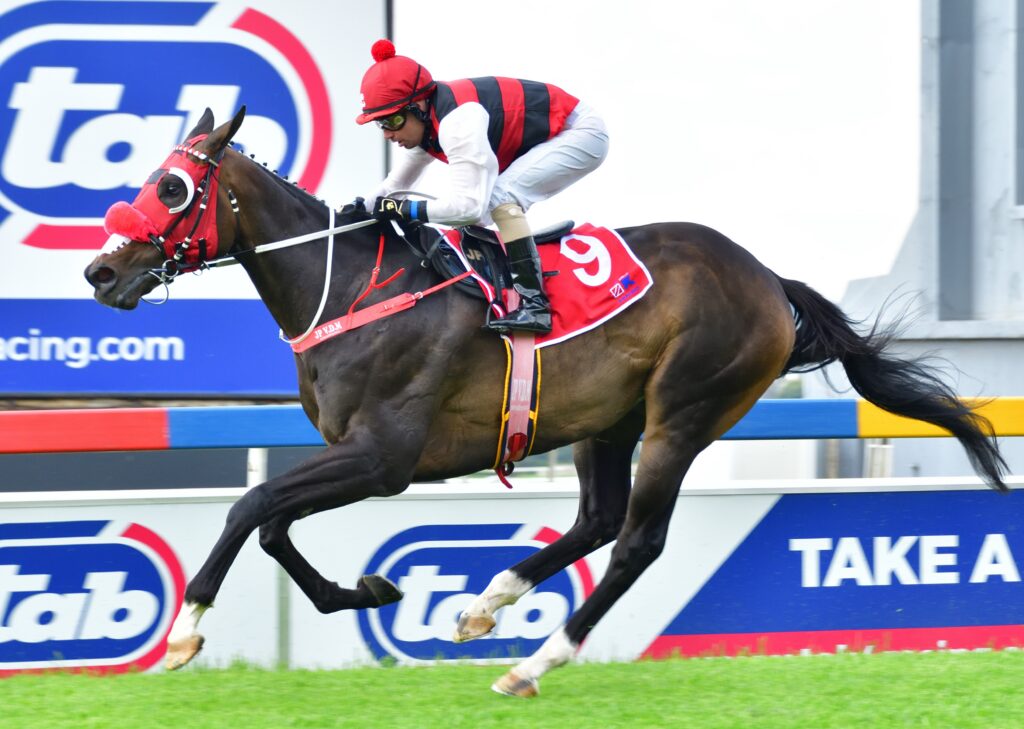 Breeze ready to blow at Turffontein