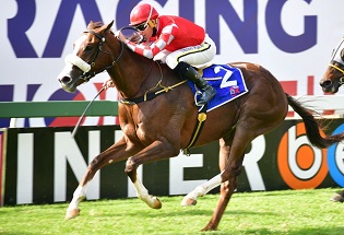 Bull ready to fly home