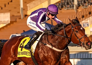 Burmese Tiara for Polytrack victory