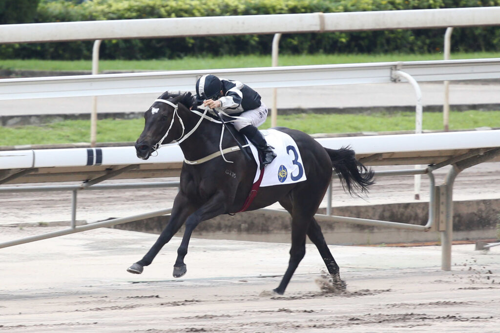 Campione back on best surface, Purton takes the reins