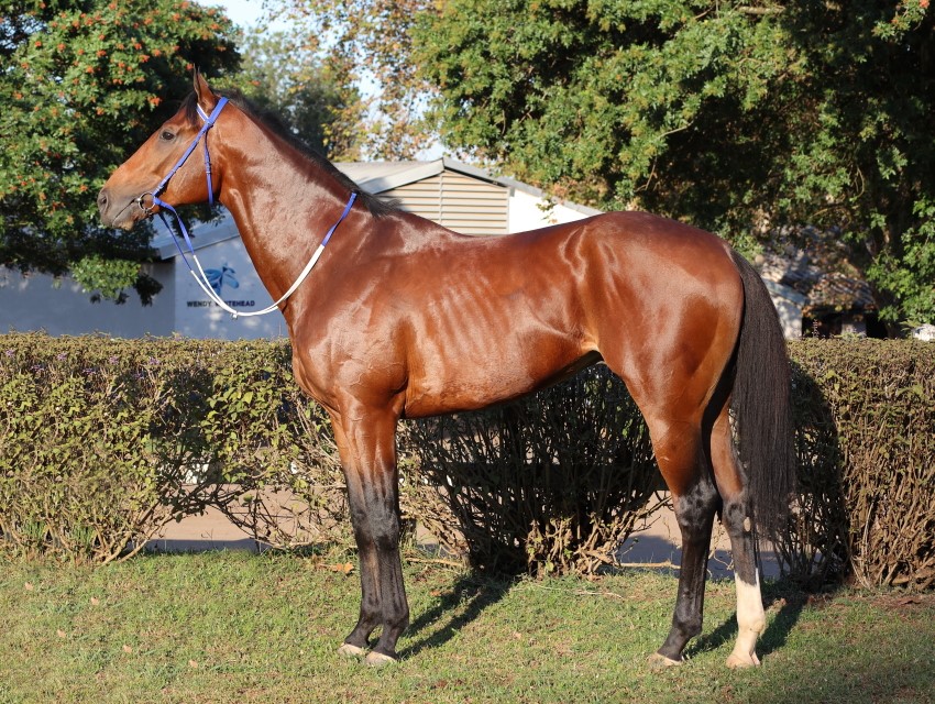 Can Dave rule at the Vaal?