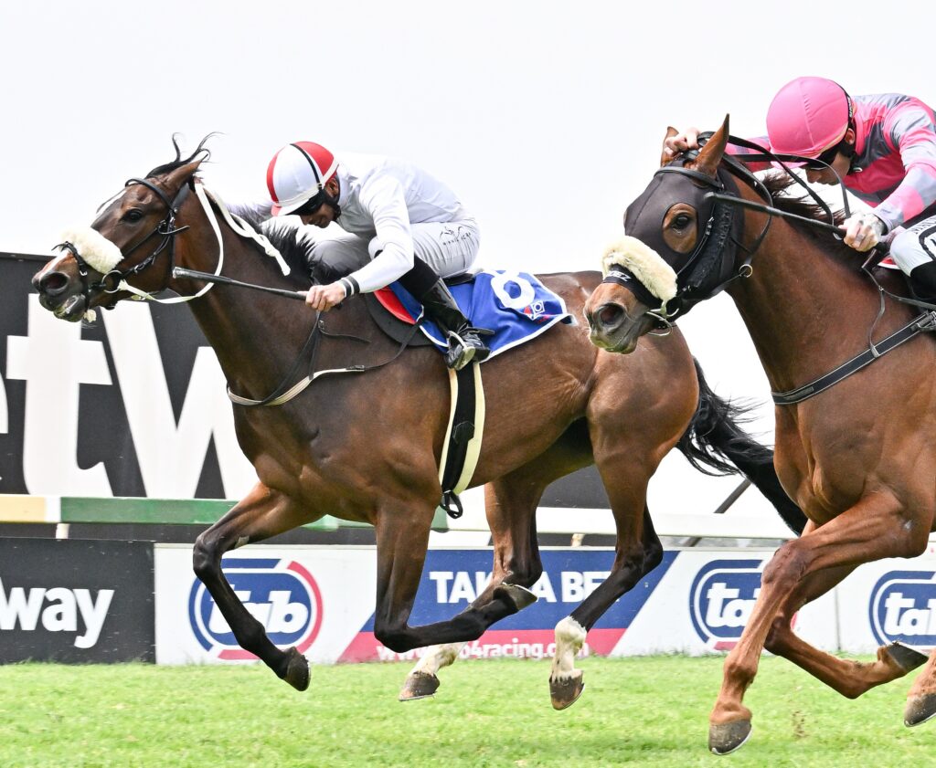 Candice to buckle up at Turffontein
