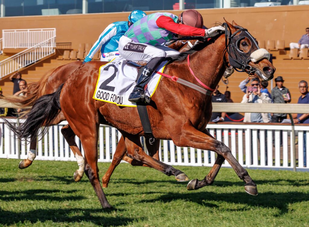 Cape Classic looks Good For You