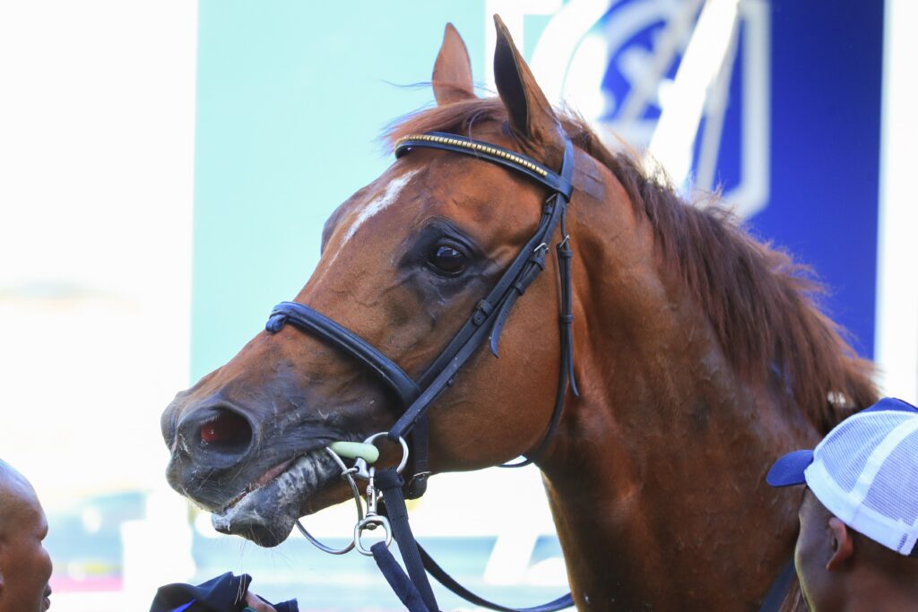 CAPE DERBY DAY ENTRIES – CHARLES DICKENS’ 2000m TEST