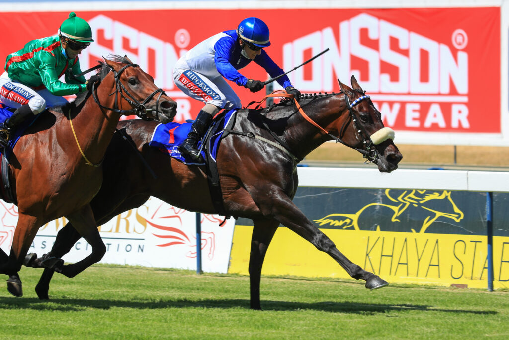 Cape runners have the edge at Greyville