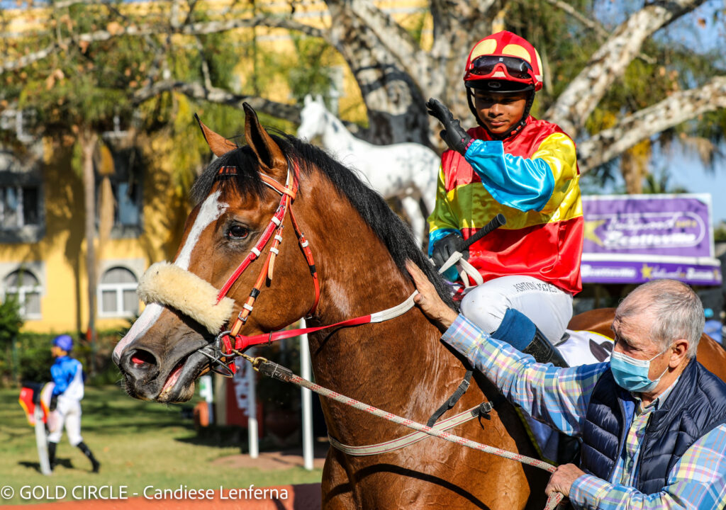 Captain Fontane to get back in the winners’ enclosure