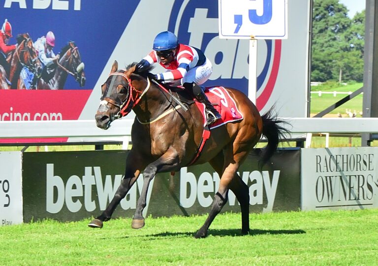 Celestial City for Kings Cup crown