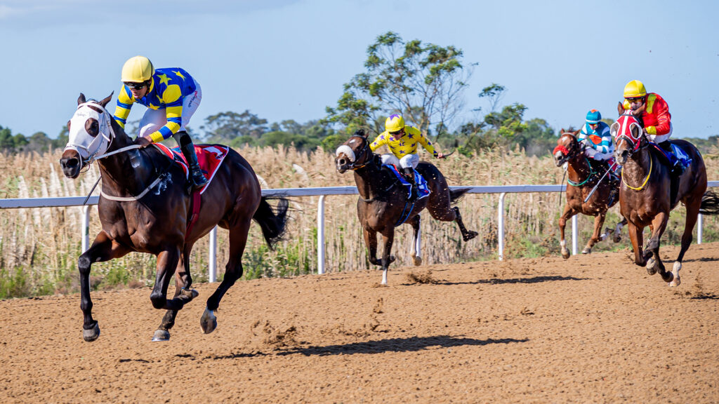 CHAMPIONS AT IT AGAIN