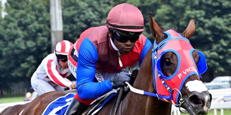 Champions Cup looks a real thriller