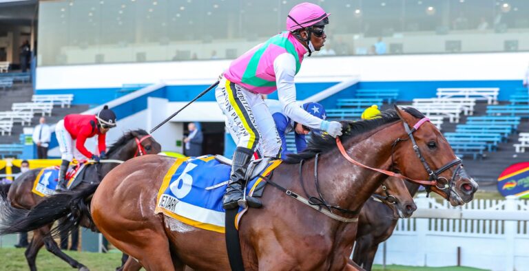 Jet Dark back to defend Champions Cup