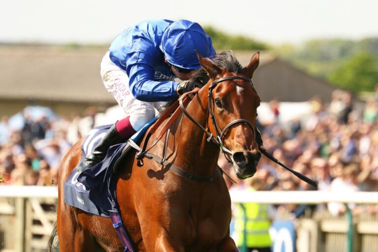 Champions on show at Meydan