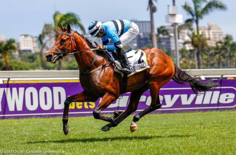 Chance to Shoot The Rapids in KZN