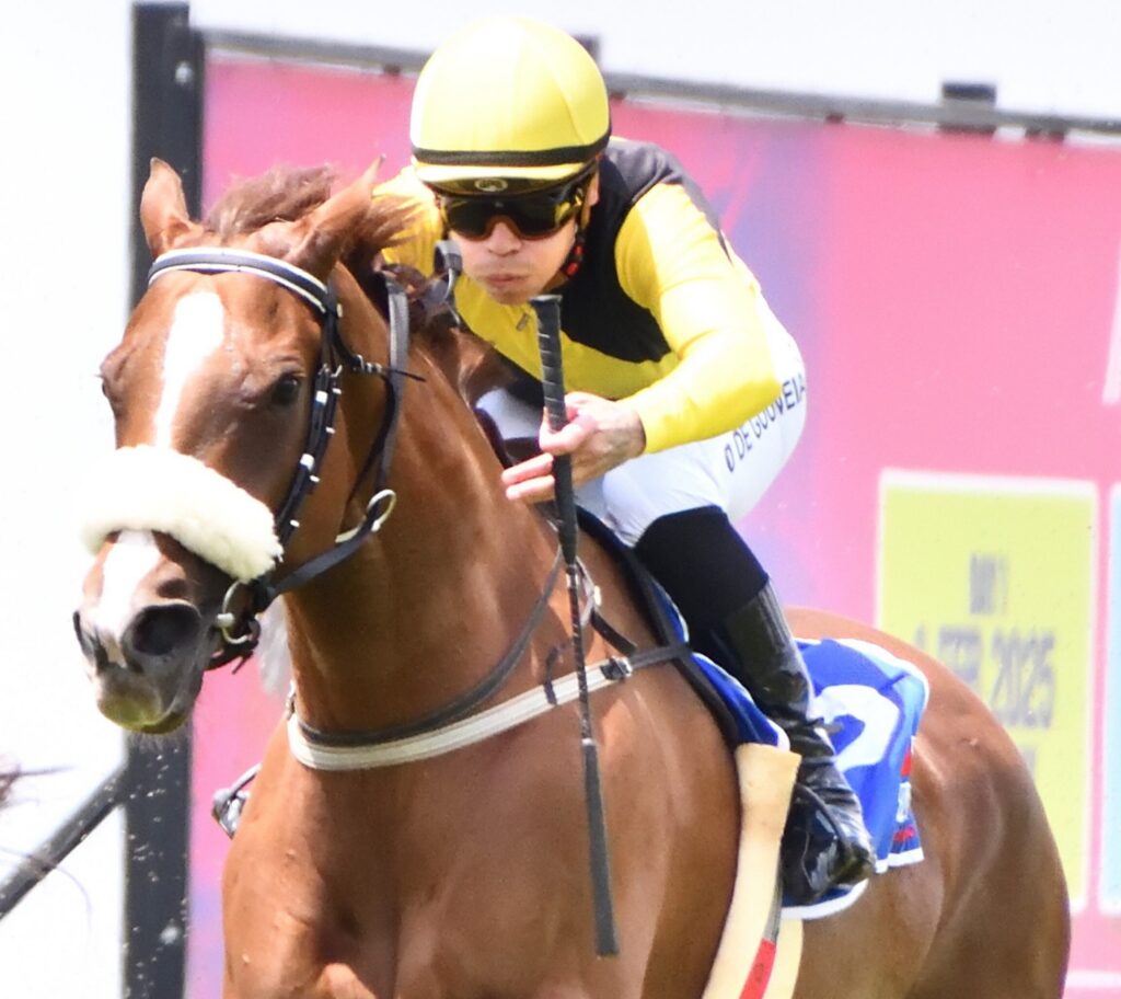 Cherry Oh Baby stands out in KZN