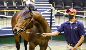 Cloud hangs over Celestial City