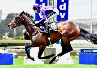 Cold Fact a hot bet as Vaal meeting moves to Turffontein