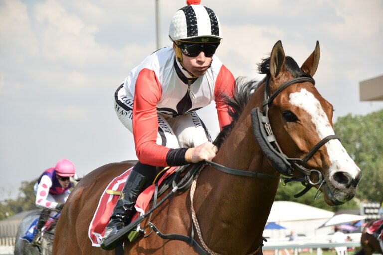 Selenio Peninsula Stands out at Vaal