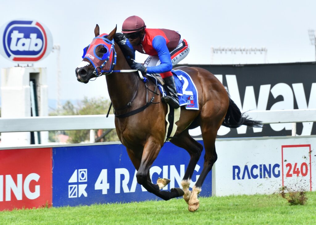 Conditions favour Royal Victory