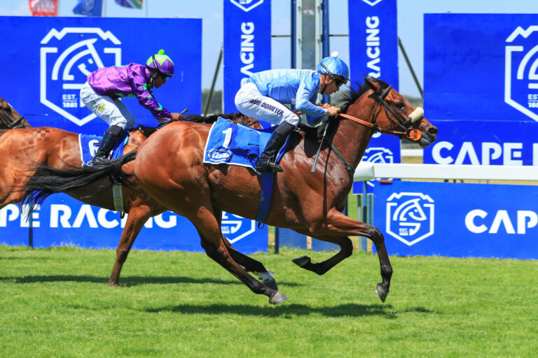 Conditions favour Somerset Maugham