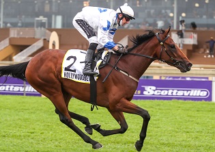 Conditions ideal for Jet