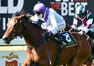 Contractor on winning track