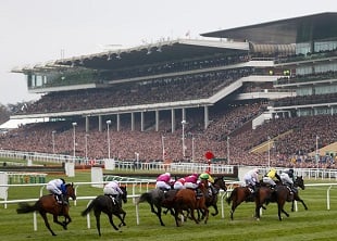 Conyers Hill the choice at Cheltenham