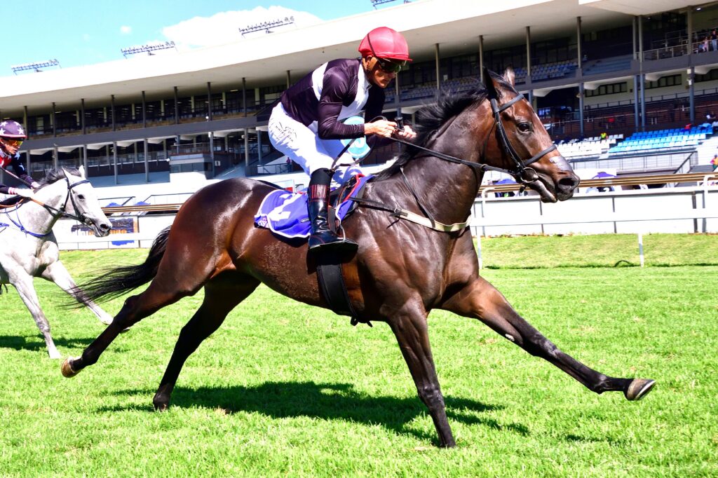 Cosmic Speed drawn to be competitive in MET