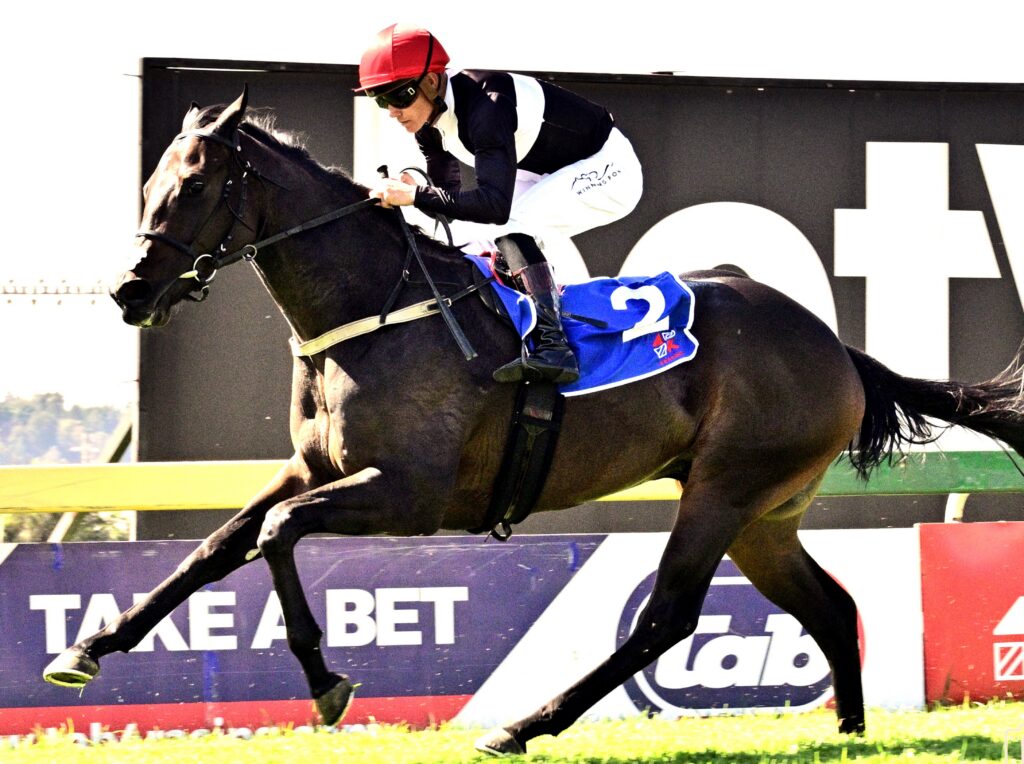 Cosmic Speed returns to action