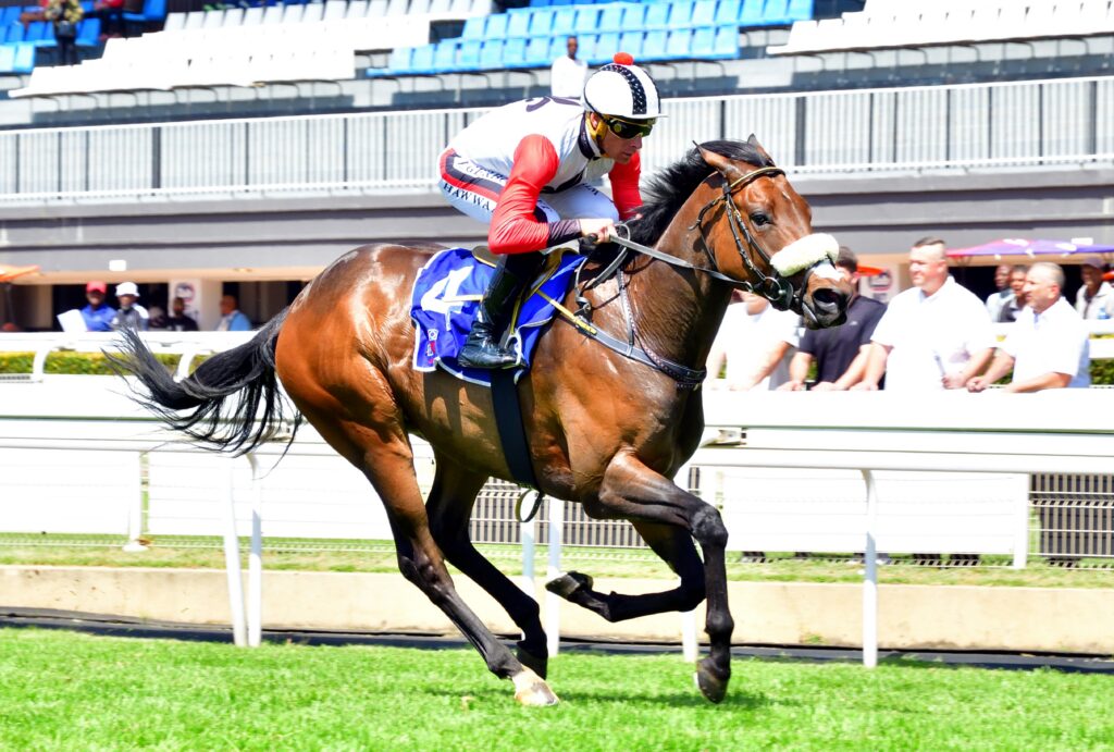 Cosmic Star to shine bright at Vaal